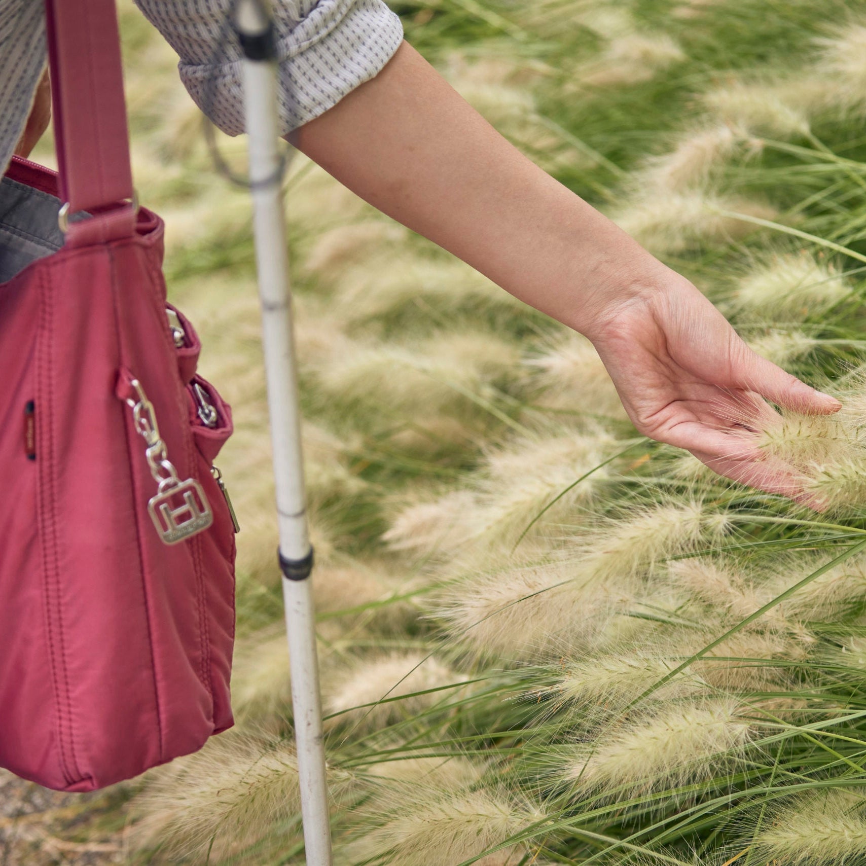 A person with a cane and a canvas bag is feeling wheat in a windy field