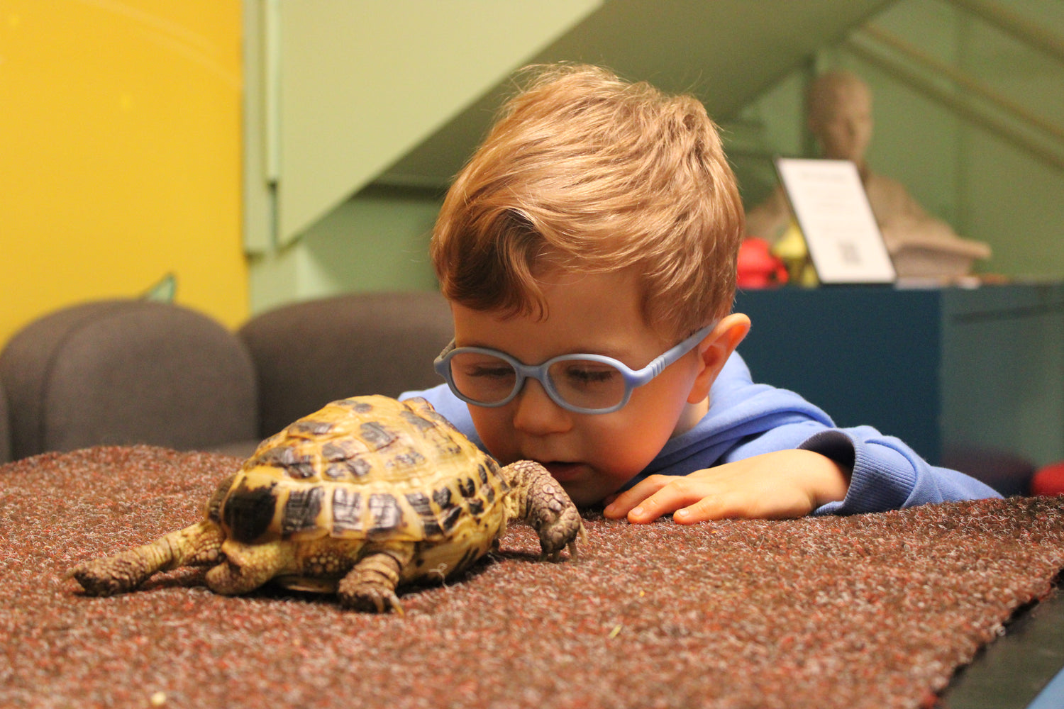 A young boy closely observing a tortoise crawling on a textured surface indoors.