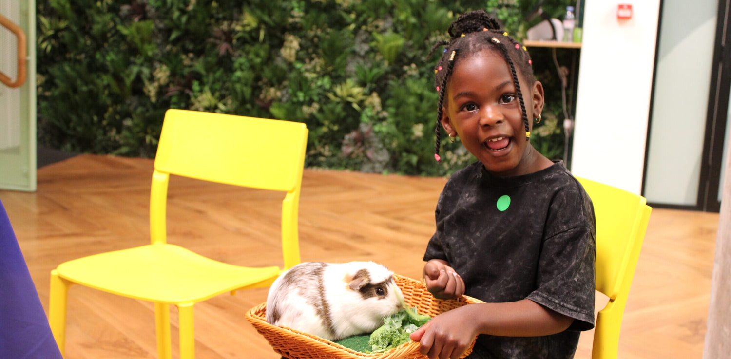 A happy young girl, holding a guinea pig