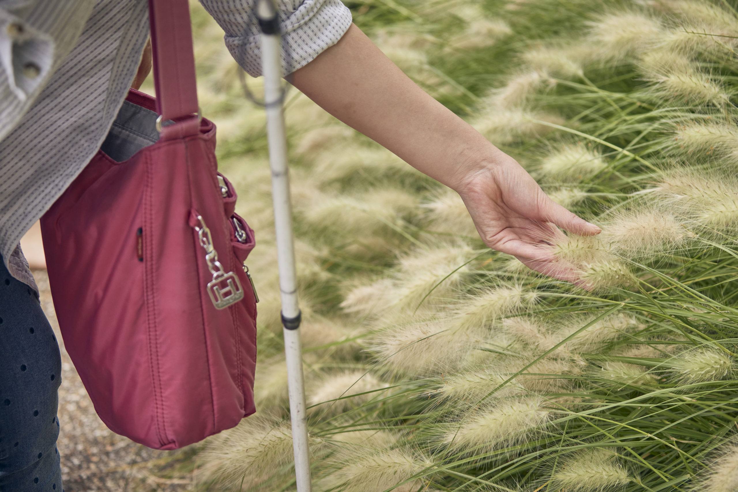 A photograph of someone's hand brushing through flowers. There's a white cane and a pink handbag beside them.