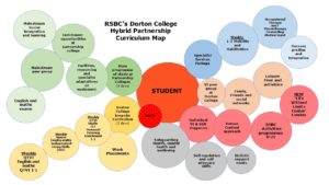 Diagram with circles representing the Dorton College curriculum structure